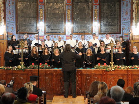 IMG_0245_resize_resize