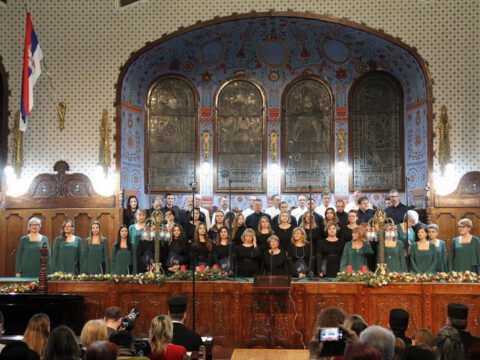 IMG_0250_resize_resize