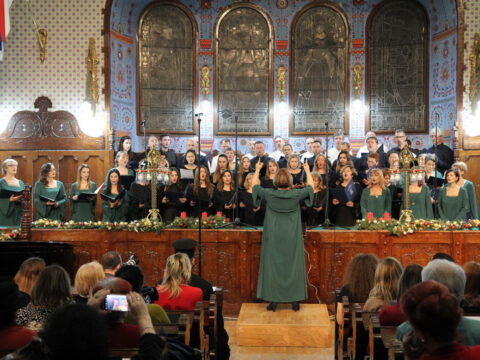 IMG_0256_resize_resize