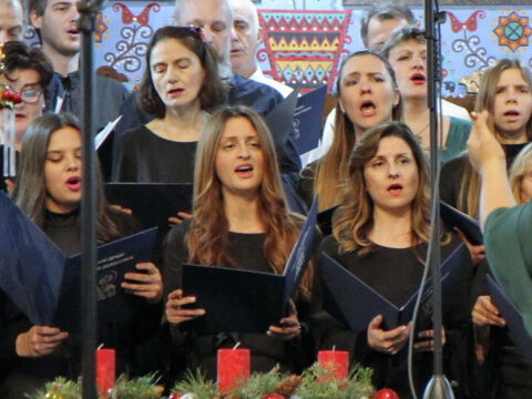 IMG_0258L_resize_resize