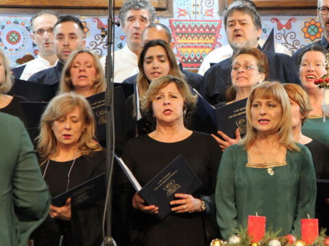 IMG_0259LL_resize_resize