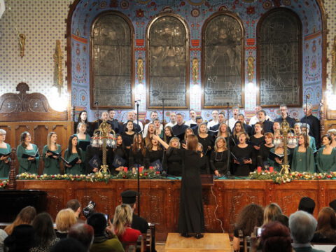 IMG_0269_resize_resize