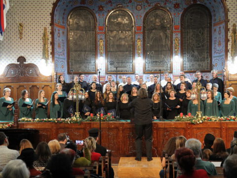 IMG_0281_resize_resize