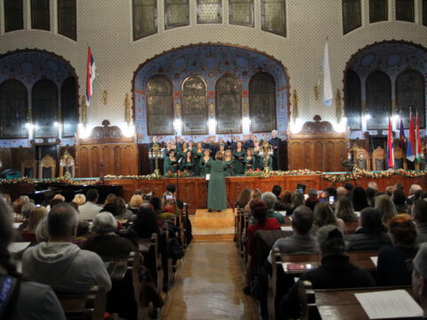 IMG_0285_resize_resize