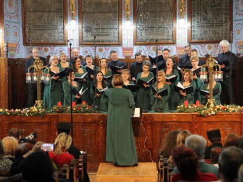 IMG_0295_resize_resize