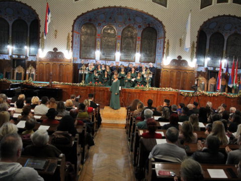 IMG_0298_resize_resize