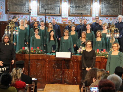 IMG_0308_resize_resize