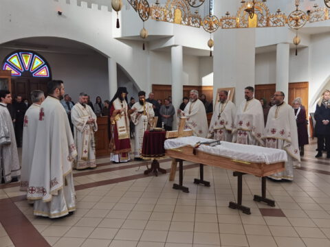 IMG_20230103_102950_resize