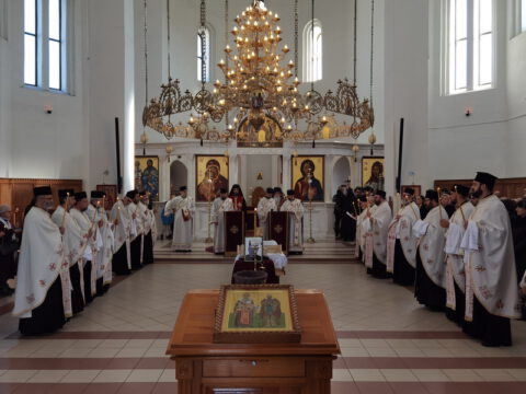 IMG_20230103_120443_resize