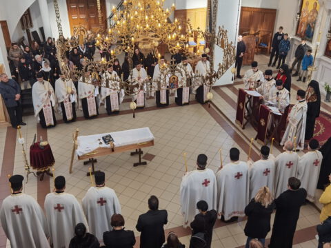 IMG_20230103_121309_resize