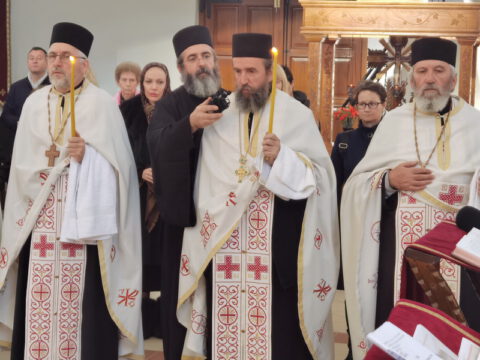 IMG_20230103_124446_resize