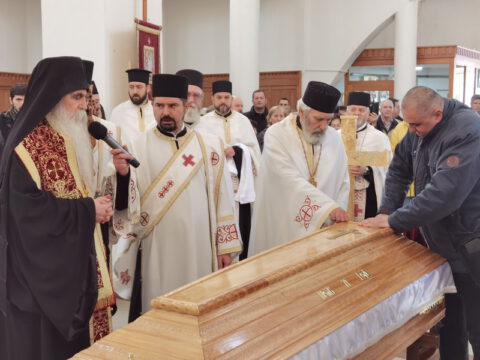 IMG_20230103_131803_resize