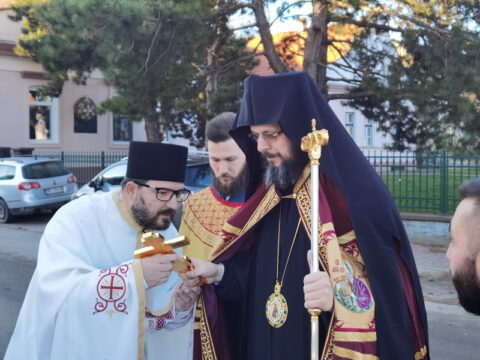 IMG_20230106_084846_resize