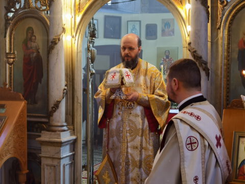 IMG_20230106_100256_resize