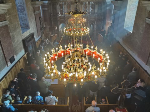 IMG_20230106_100741_resize