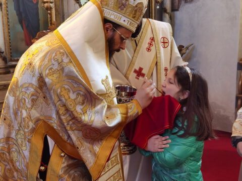 IMG_20230106_104753_resize