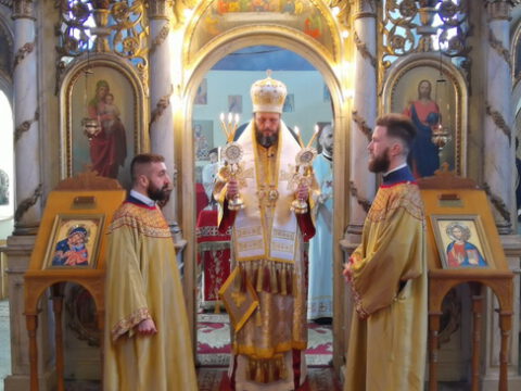 IMG_20230106_105248_resize