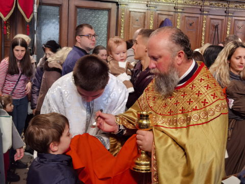 IMG_20230107_110542_resize