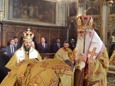 IMG_20230107_111954_resize