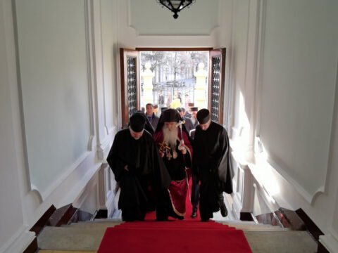 IMG_20230107_113554_resize