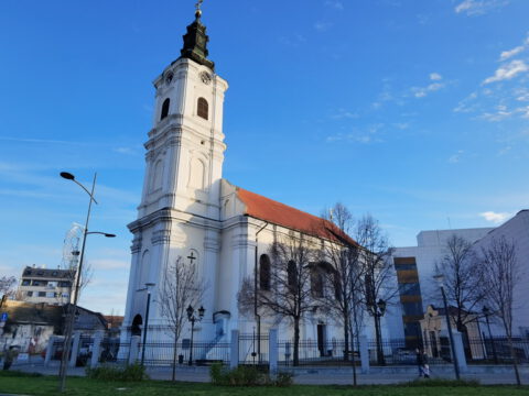 IMG_20230108_082914_resize