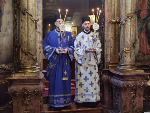 IMG_20230108_085009_resize