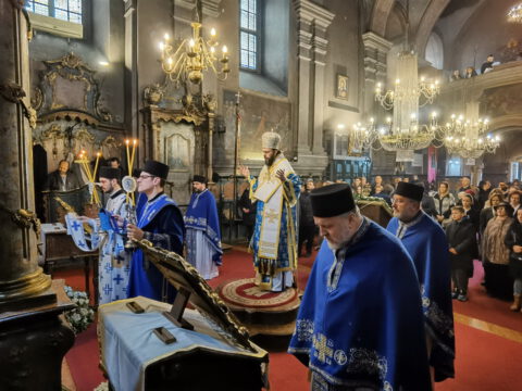 IMG_20230108_085104_resize