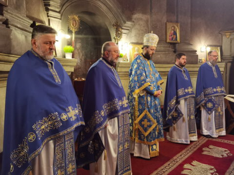 IMG_20230108_092412_resize