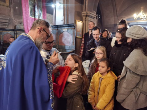 IMG_20230108_103545_resize