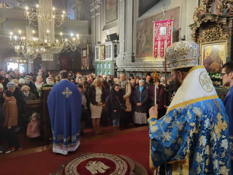 IMG_20230108_104527_resize