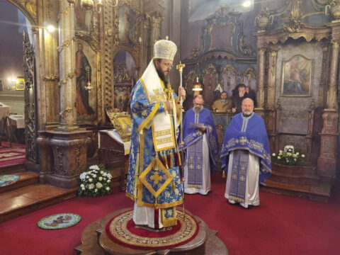 IMG_20230108_104815_resize