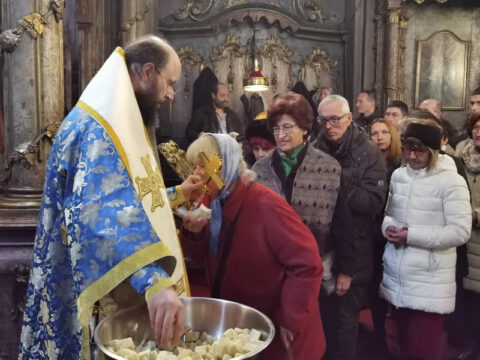 IMG_20230108_110537_resize