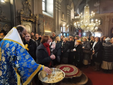 IMG_20230108_110657_resize