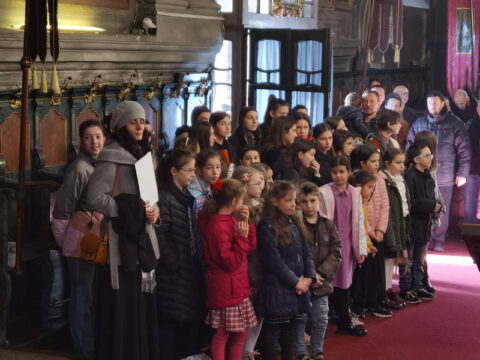 IMG_20230108_112658_resize