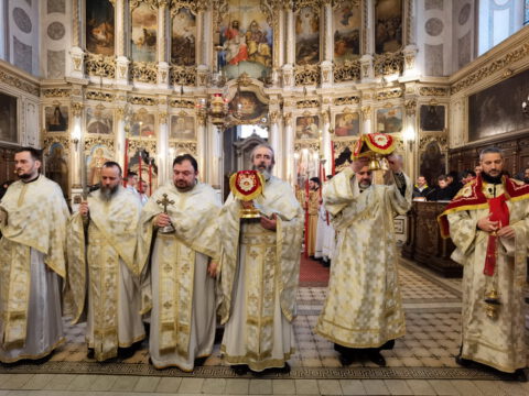 IMG_20230119_094836_resize