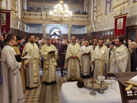 IMG_20230119_103408_resize