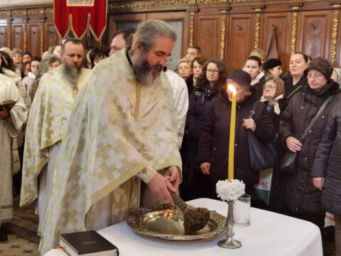 IMG_20230119_105557_resize