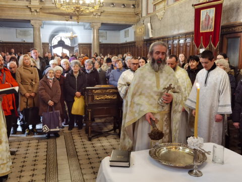 IMG_20230119_105653_resize