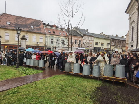 IMG_20230119_105748_resize