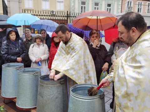 IMG_20230119_105818_resize