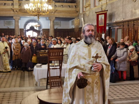 IMG_20230119_110232_resize