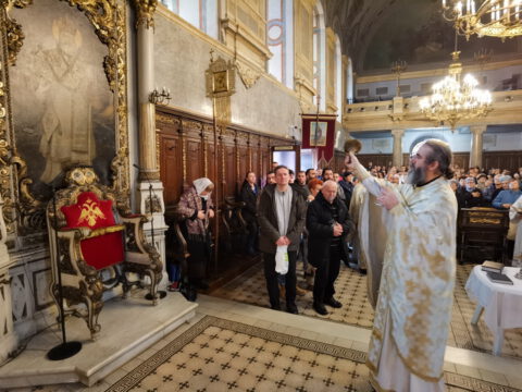 IMG_20230119_110306_1_resize