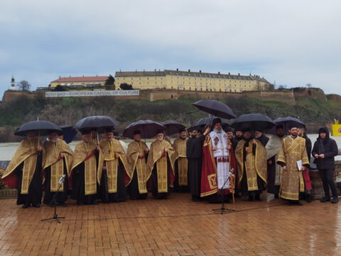 IMG_20230123_120223_resize