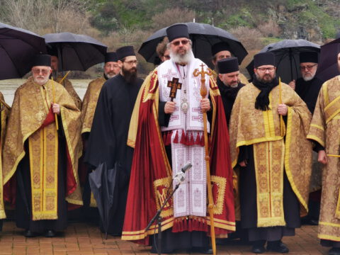 IMG_20230123_120533_resize