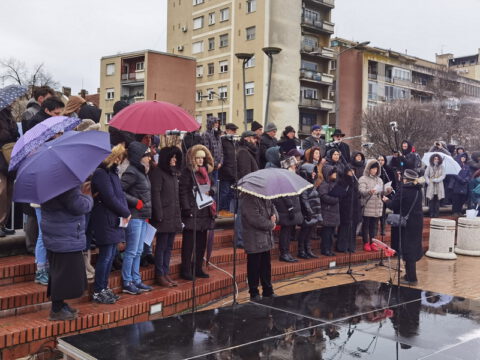 IMG_20230123_121113_resize