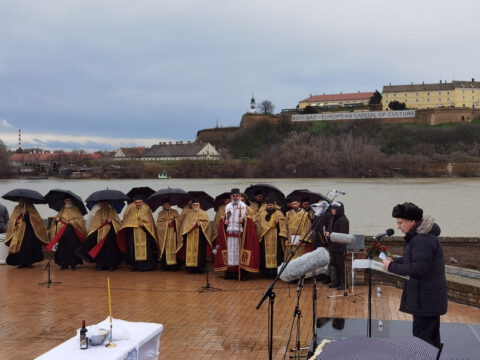 IMG_20230123_121605_resize