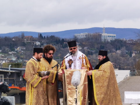 IMG_20230123_124153_resize