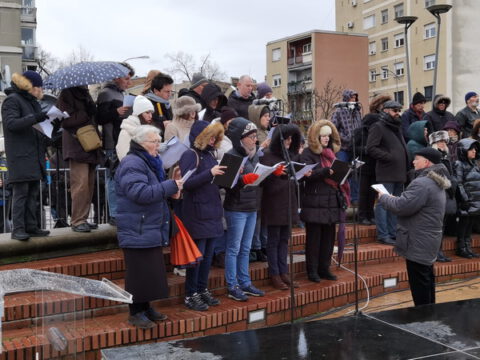 IMG_20230123_124604_resize