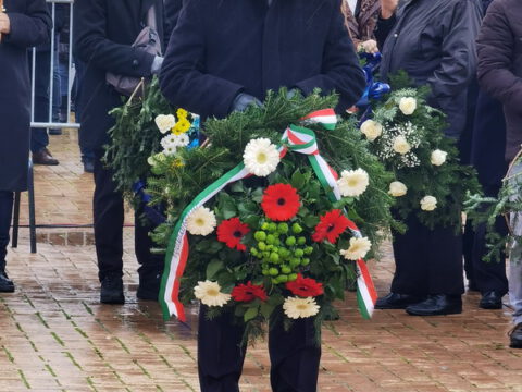 IMG_20230123_130344_resize