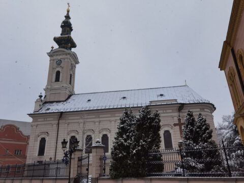 IMG_20230127_085218_resize